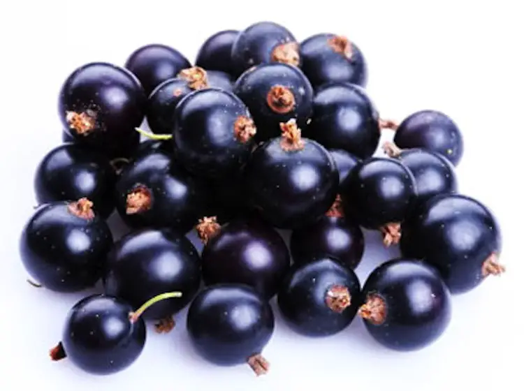 acai
