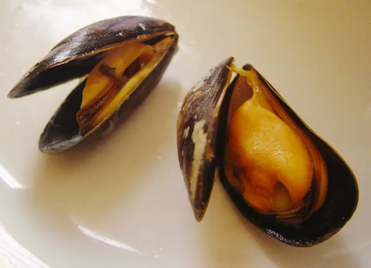 mejillones