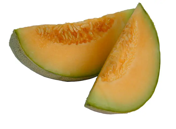melon