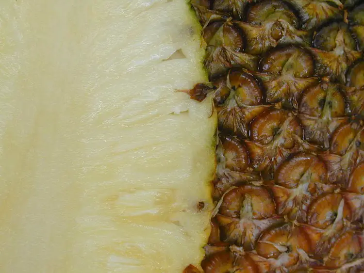 pina