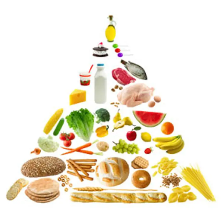 piramide nutricional