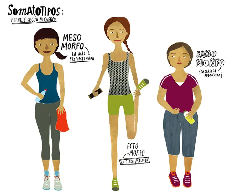 somatotipo somatotipo