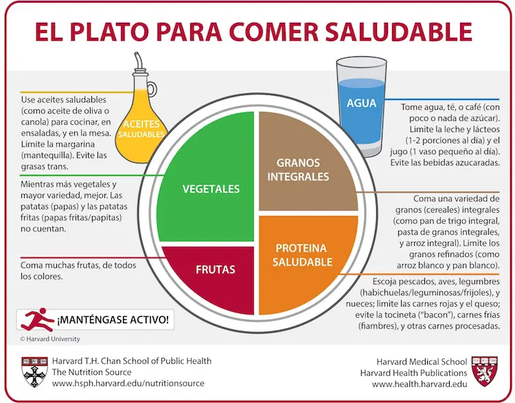 plato perfecto