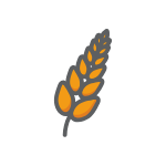 avena