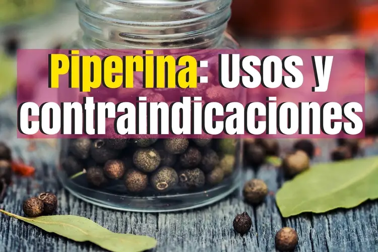 Piperina para adelgazar. Usos y contraindicaciones de la piperina