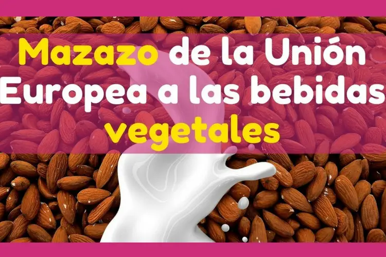 bebidas vegetales