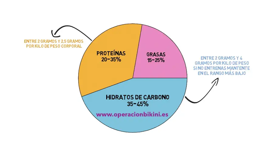 ¿Cómo repartir macronutrientes según tu objetivo"