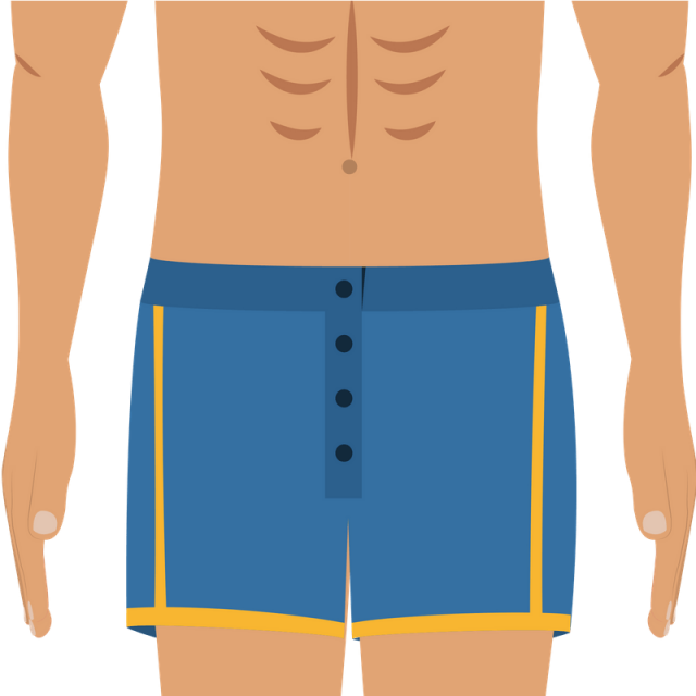 abdominales