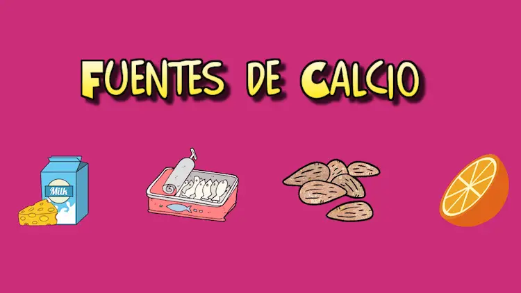 fuentes de calcio