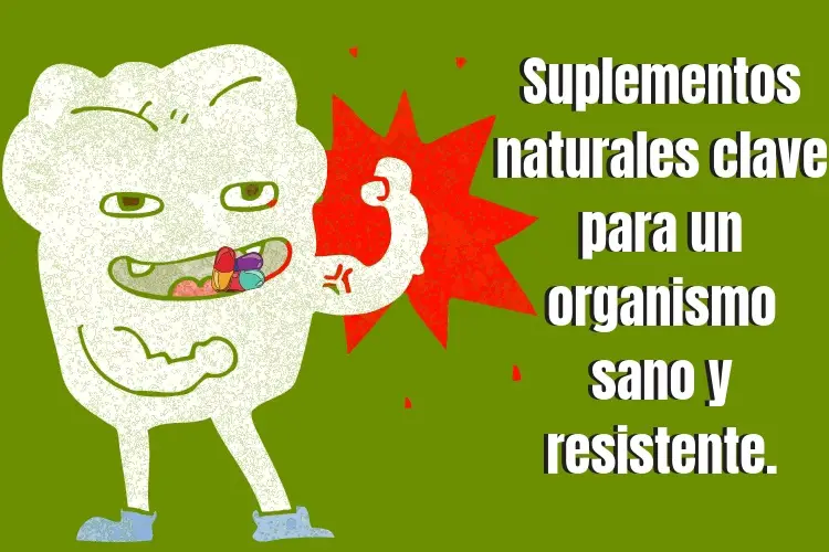 Suplementos naturales clave para un organismo sano y resistente.