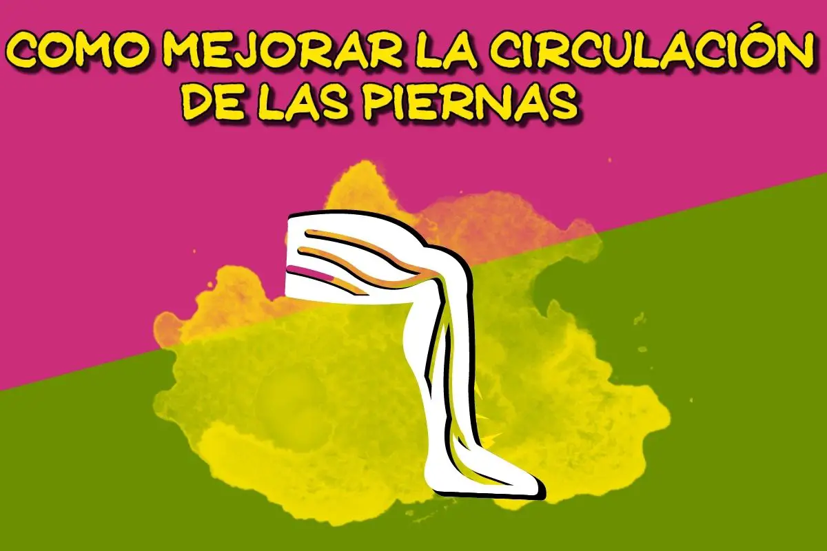 circulación piernas