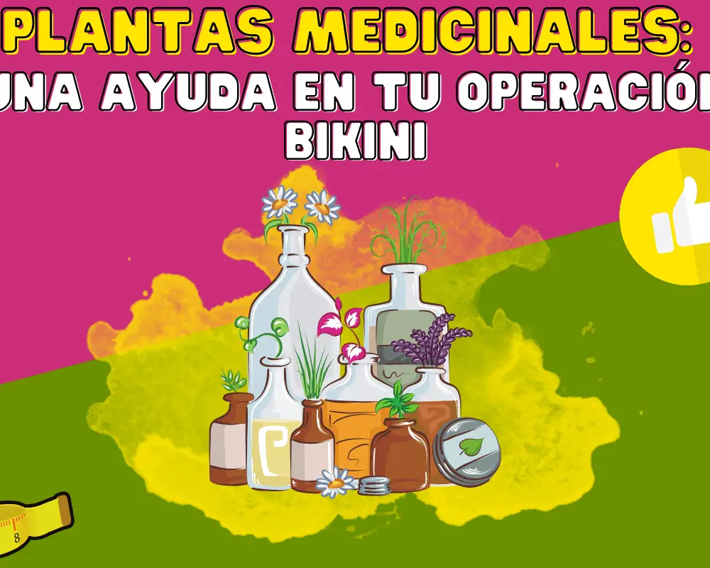 plantas medicinales