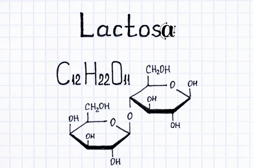 lactosa
