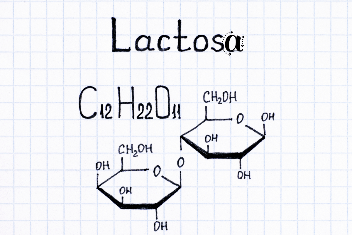 lactosa