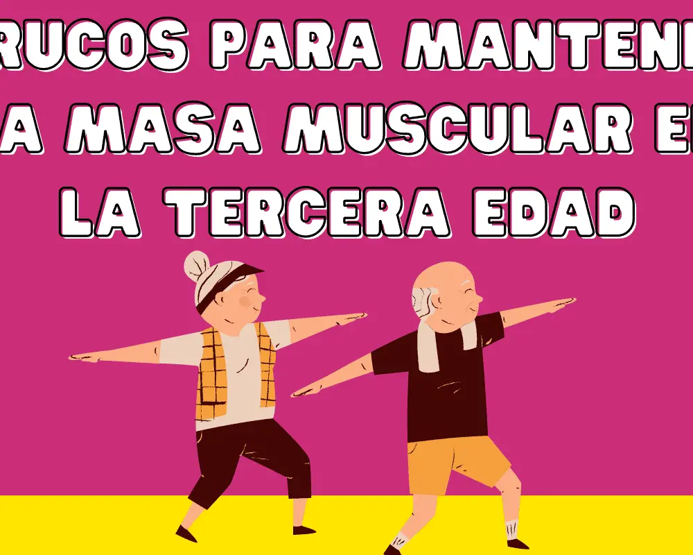 masa muscular tercera edad