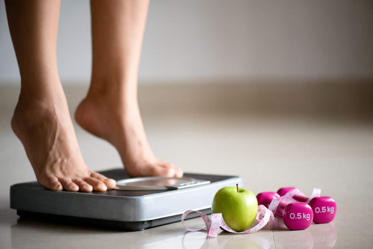batidos de proteinas para adelgazar