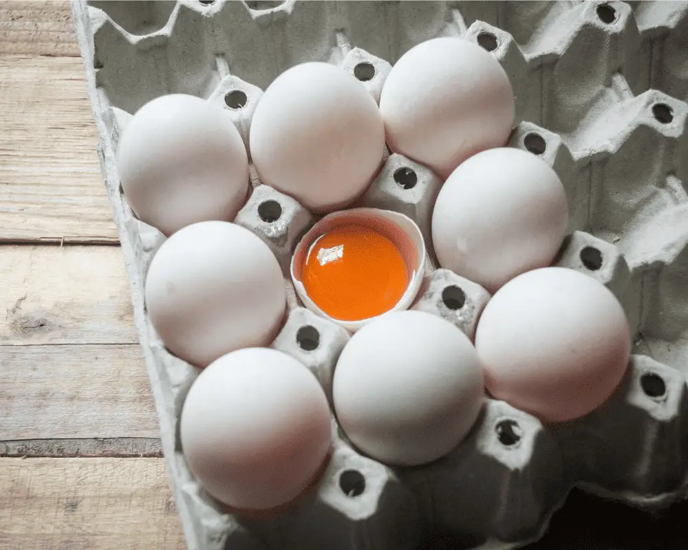 como conservar huevos