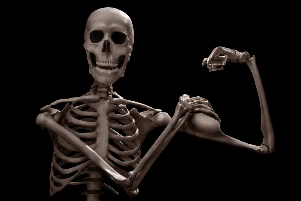 esqueleto con huesos fuertes